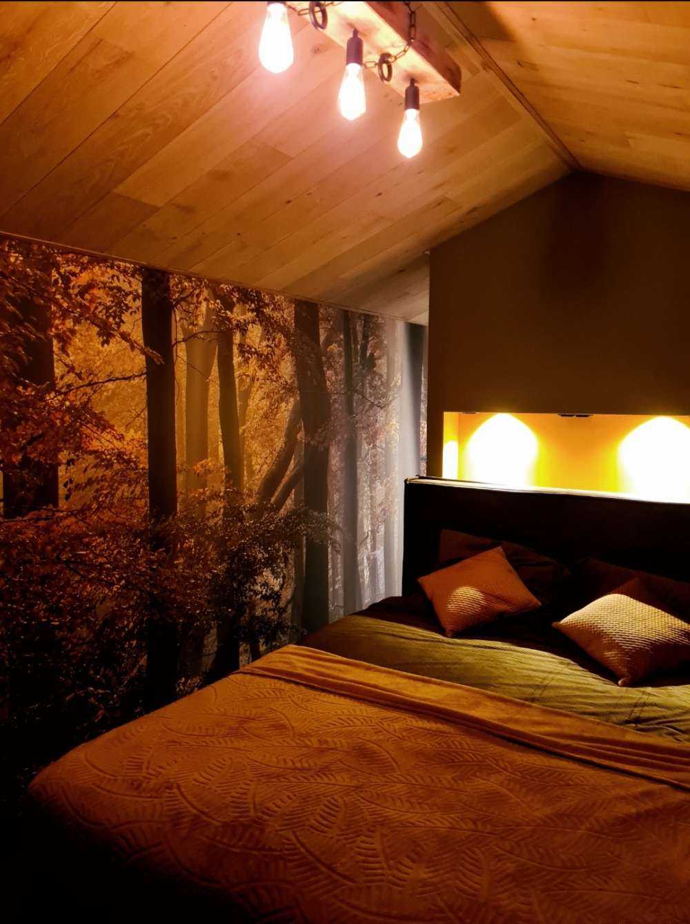 Autumn colours in the forest