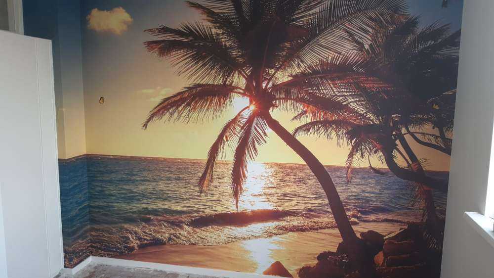 Tropical beach