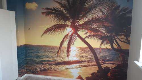 Tropical beach