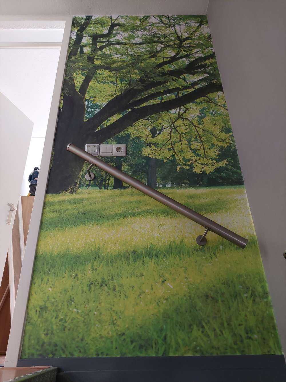 Beautiful tree with green grass