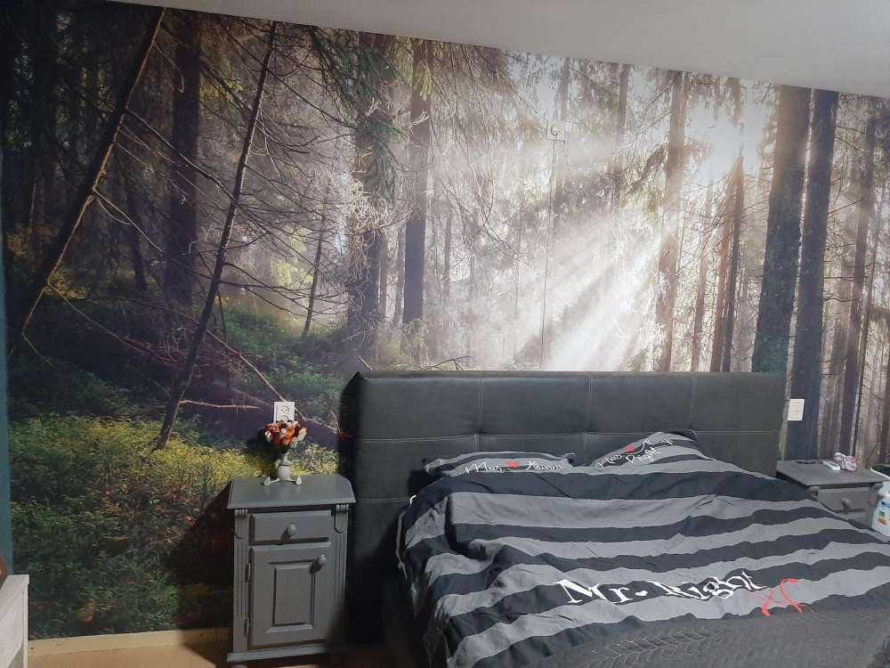 Autumn forest with sunshine