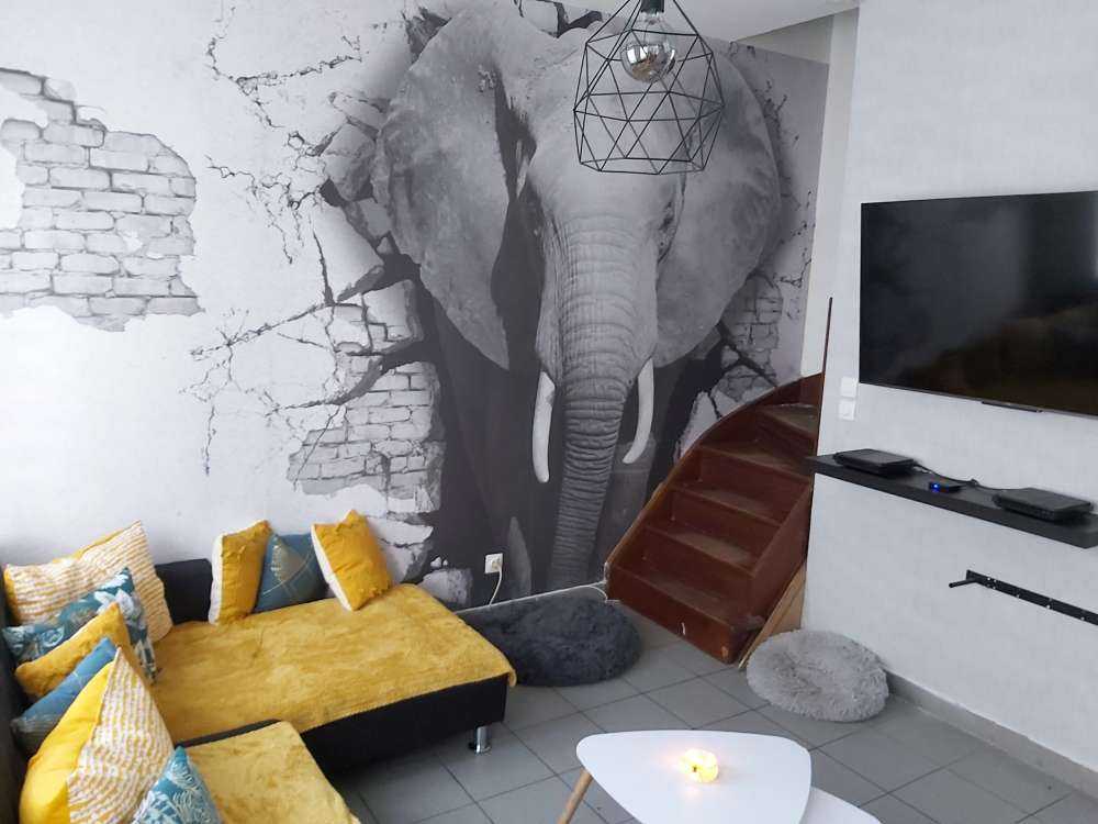 3D Elephant from the wall