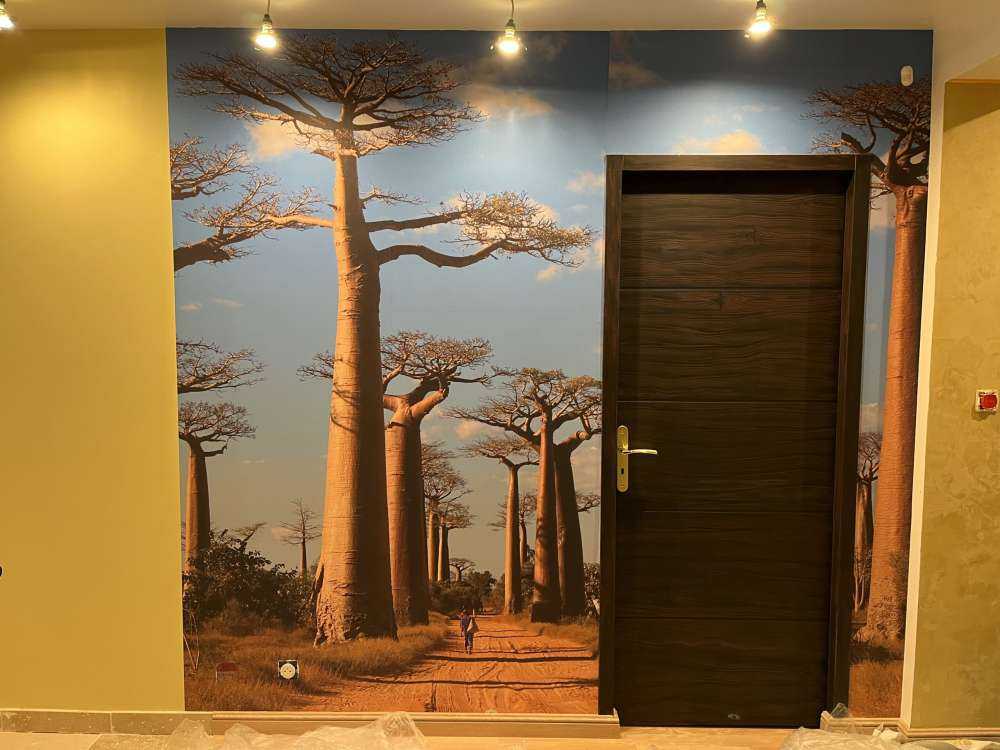 Baobab trees