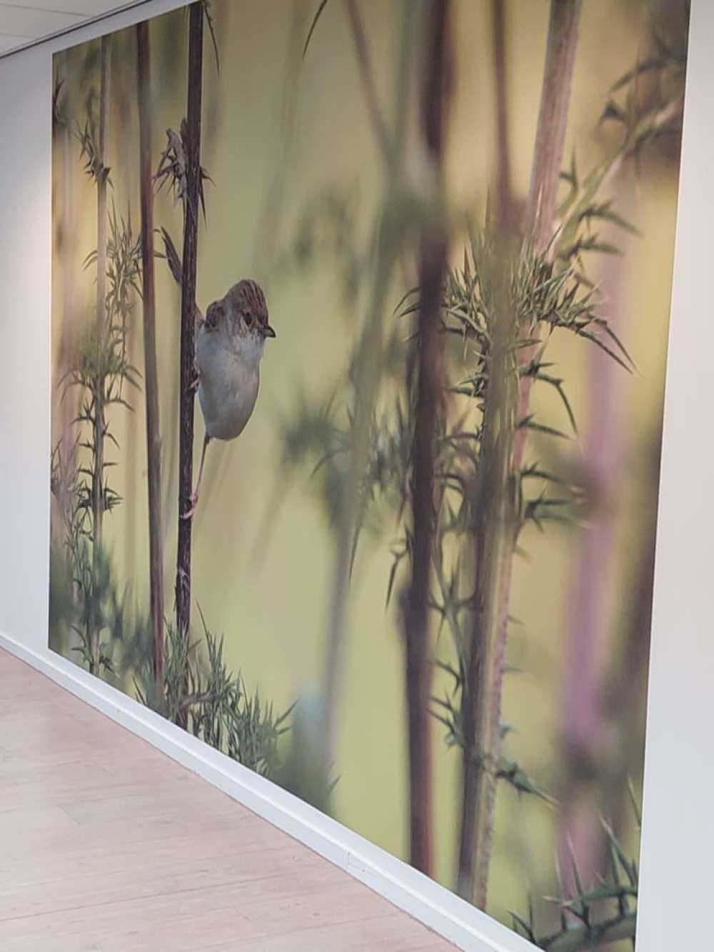 Bird on a branch