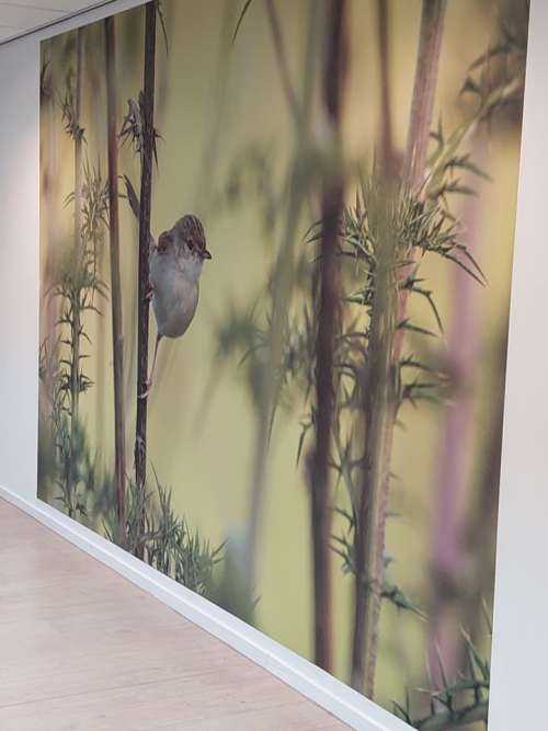 Bird on a branch