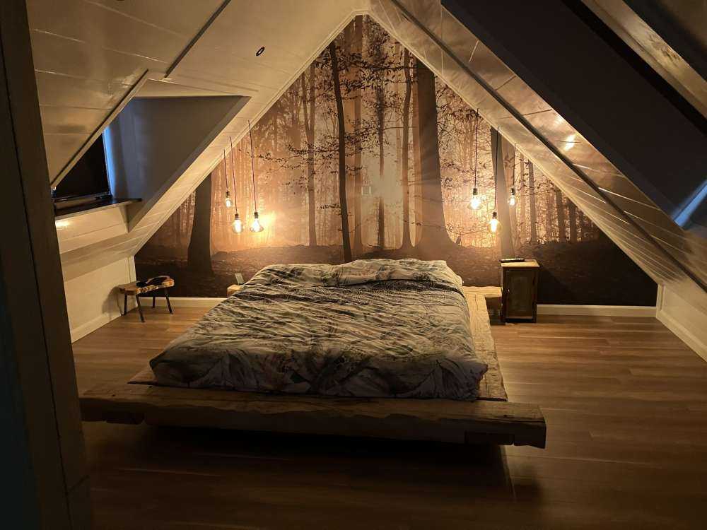 Sunshine in a misty forest