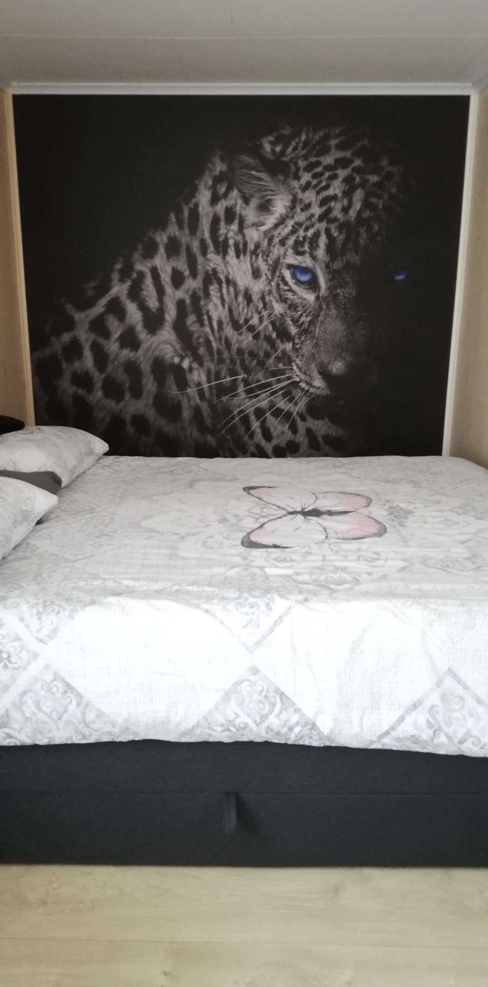 Leopard on black background