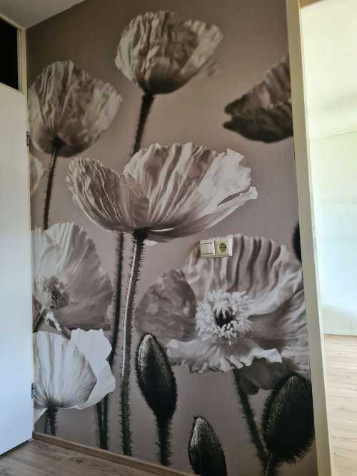 Poppies vintage