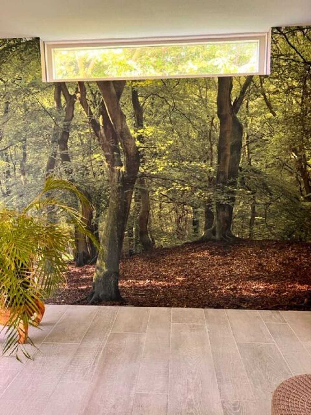 Trees with green leaves