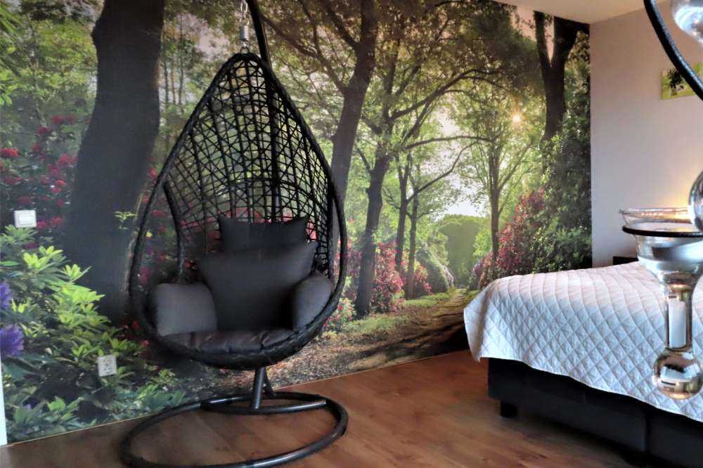 Sunrise at path with rhododendrons