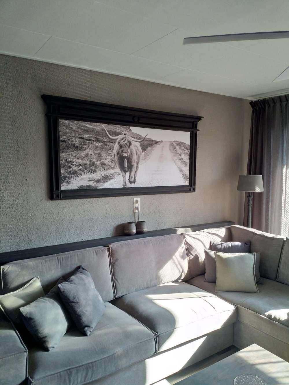 Scottish Highlander on a road