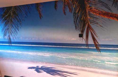 Beach under the sea
