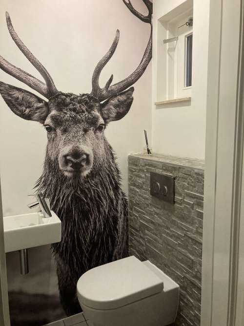 Big deer
