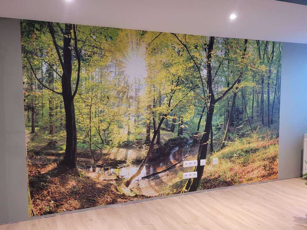 Forest with brook