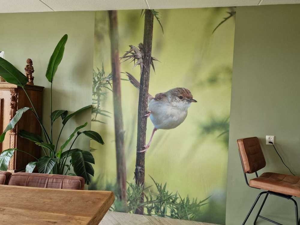 Bird on a branch
