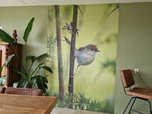 Bird on a branch
