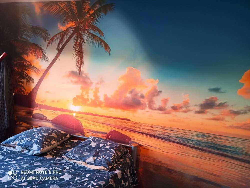 Palm trees at sunset