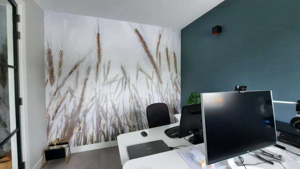 Sunbeams through the grain