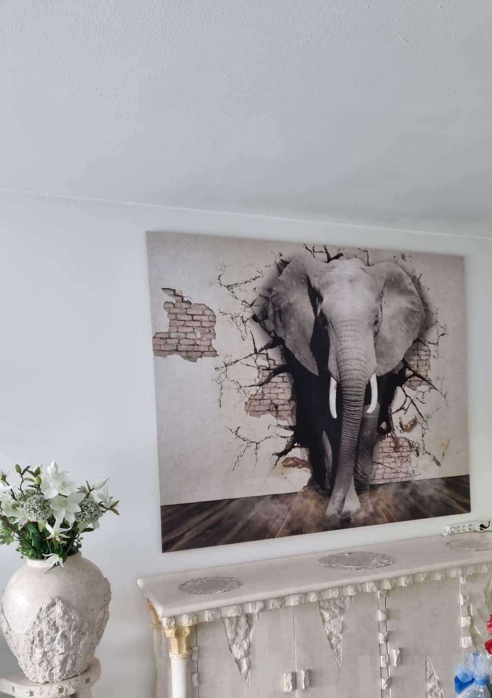 3D Elephant from the wall