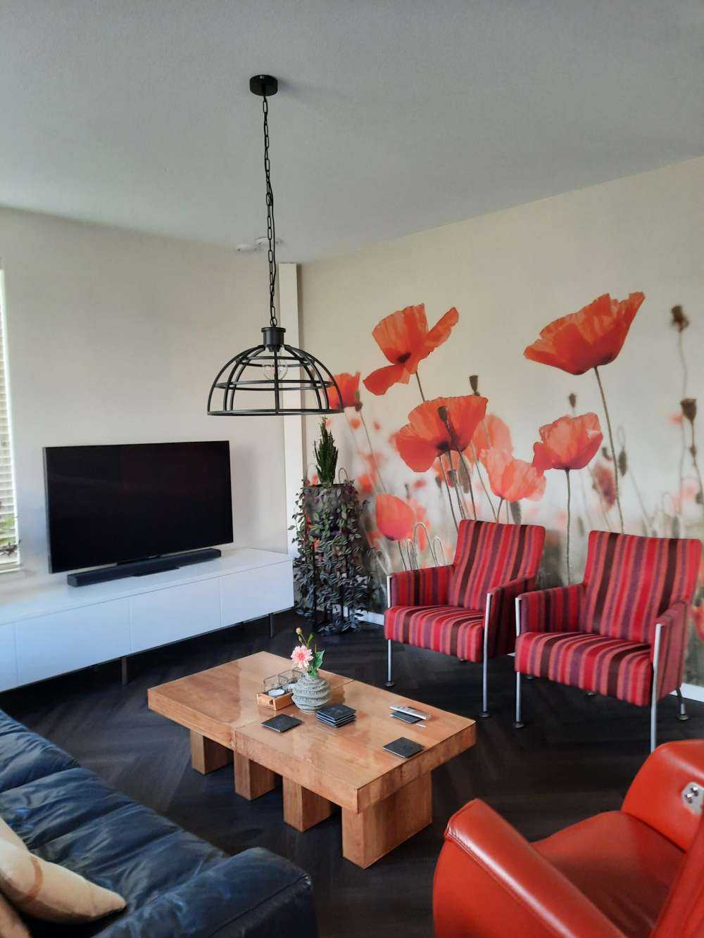 Poppies in vintage colours