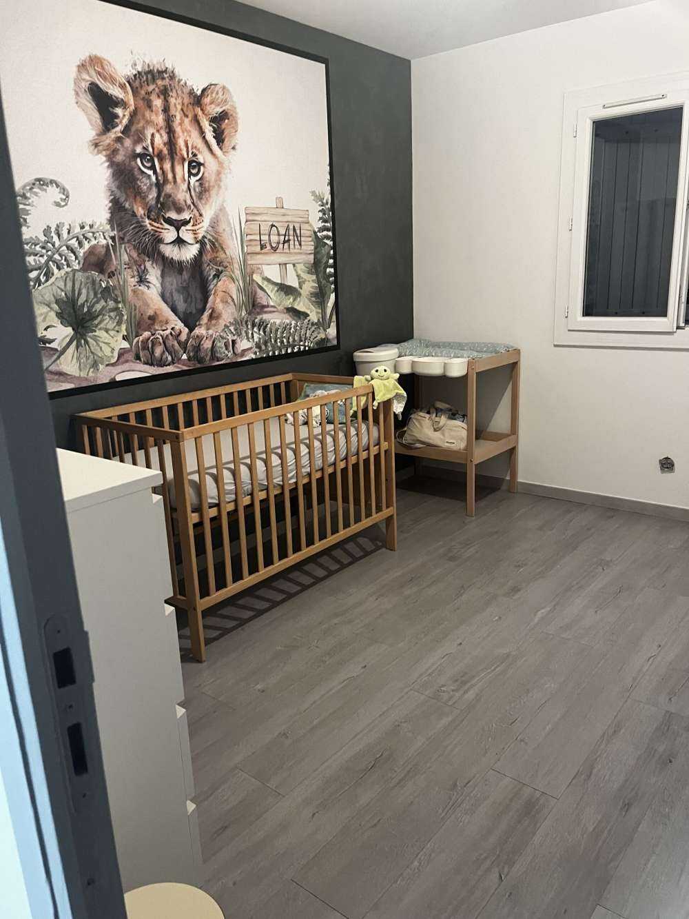 Young lion in the jungle