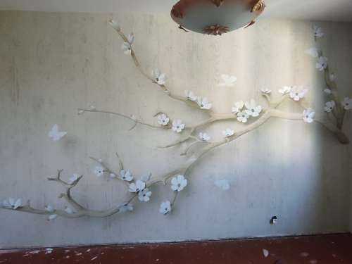 Branch with white flowers on wooden background