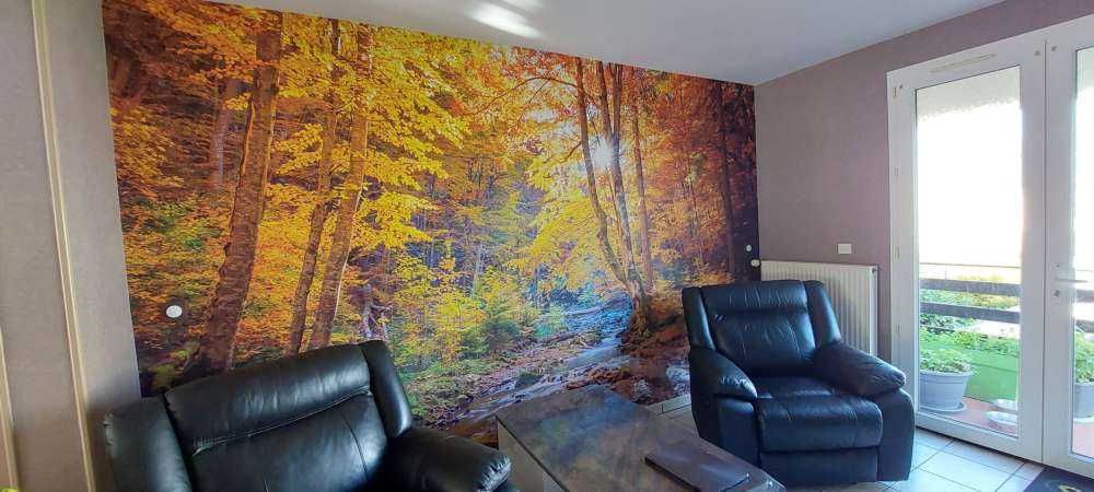 Autumn in wild forest