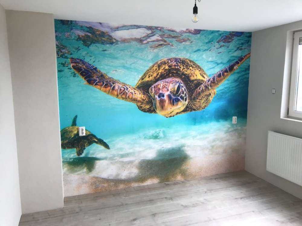 Sea turtle in the ocean