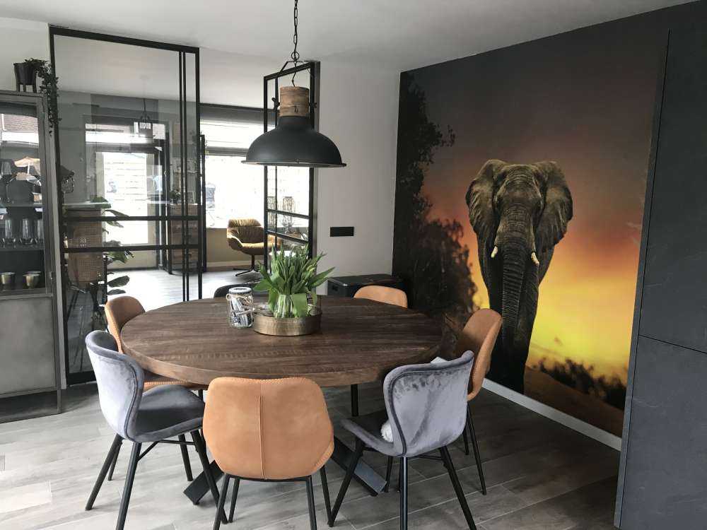 Elephant in the sunset