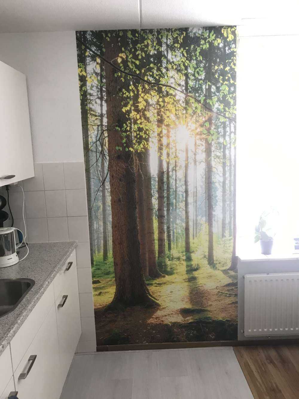 Sunrise in the forest