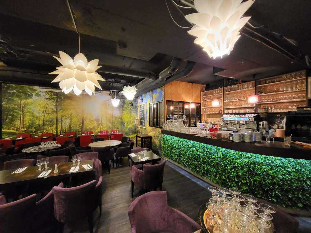 Forest with sunbeams