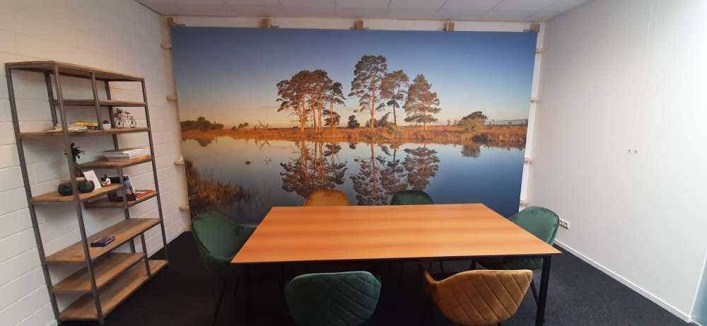 Reflection in forest lake