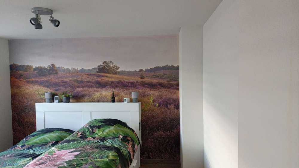 Heathland at sunrise