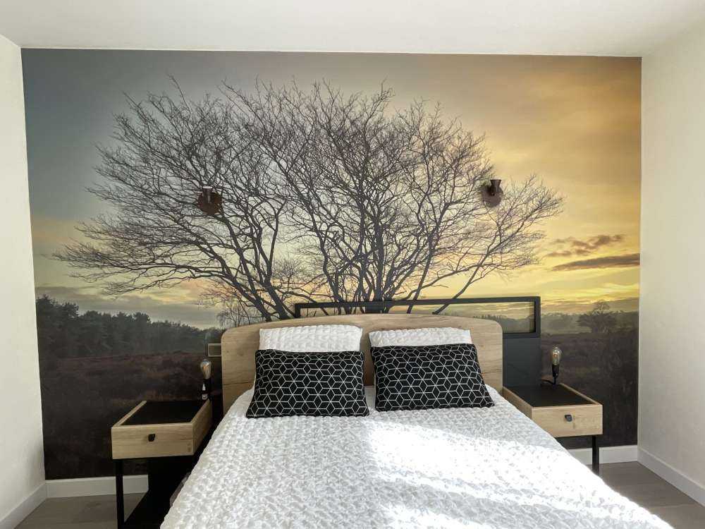 Sunrise on the heath