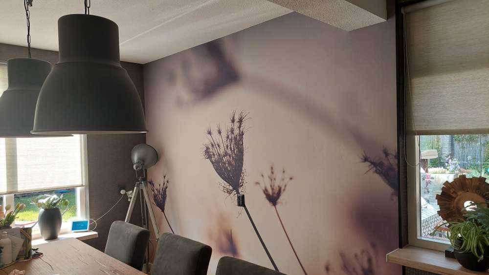 Silhouettes of plants