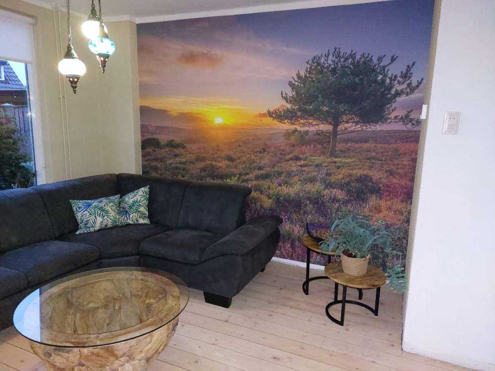 Sunset on the heath