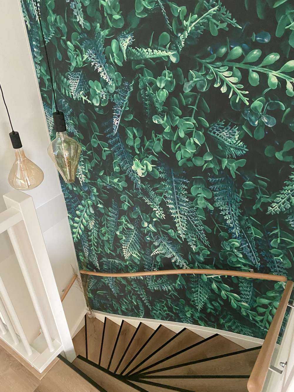 Tropical wall