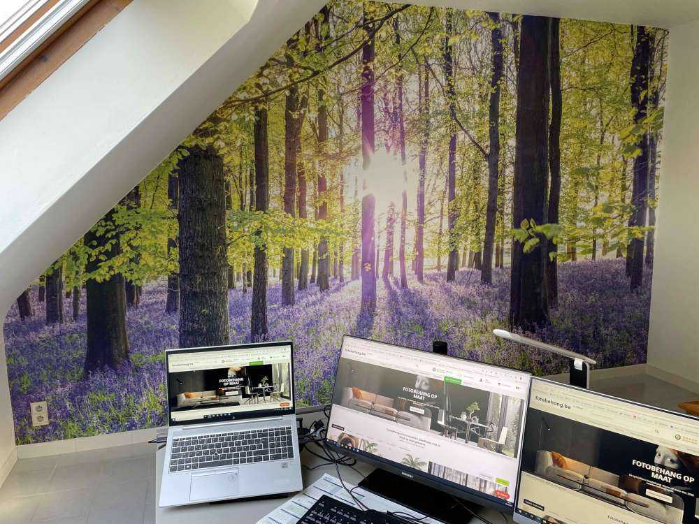 Colourful forest