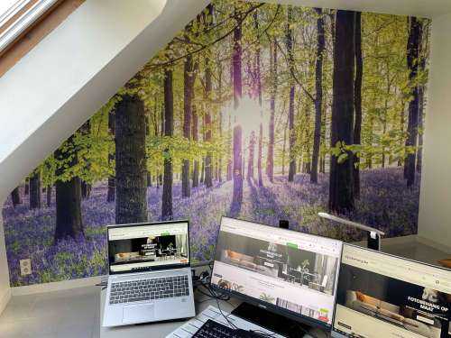Colourful forest