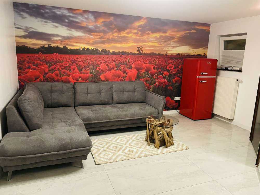 Poppies field with beautiful sky