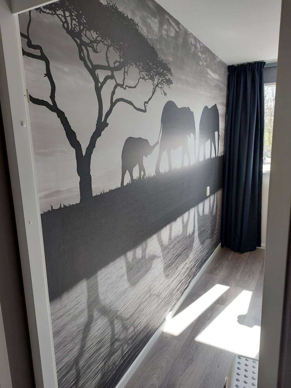 Elephants in savannah