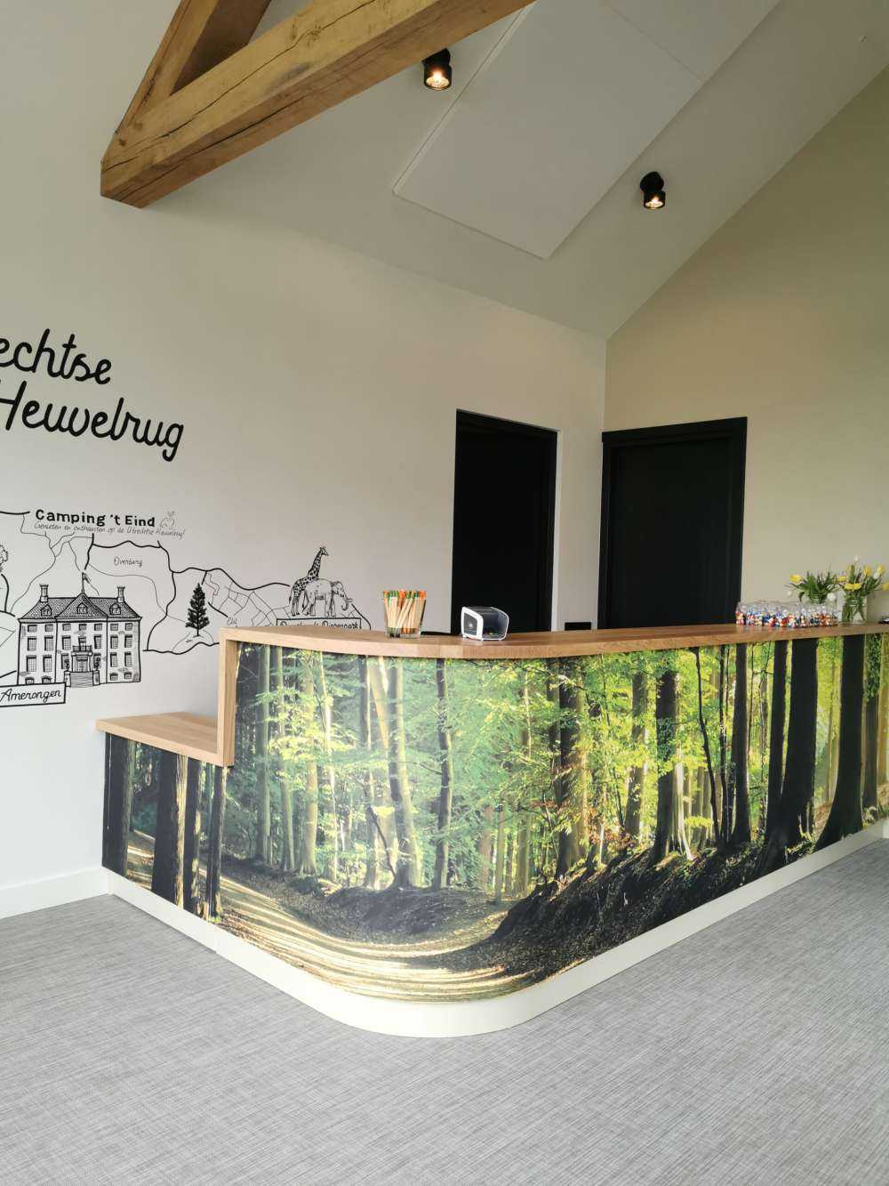 Sunny road through a forest