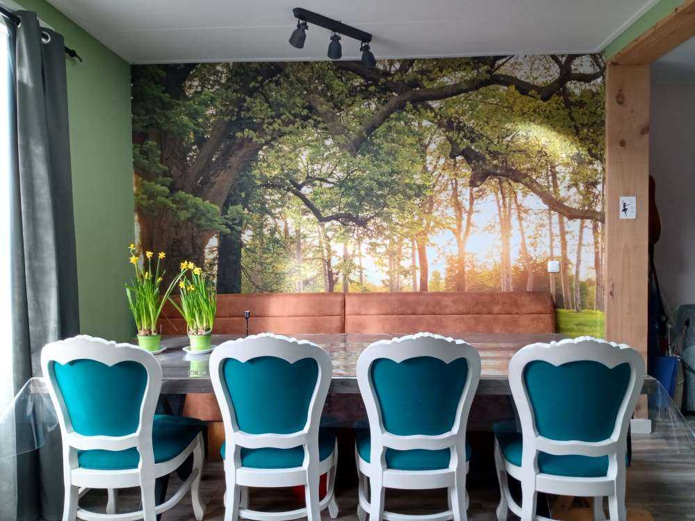 Open space in the woods