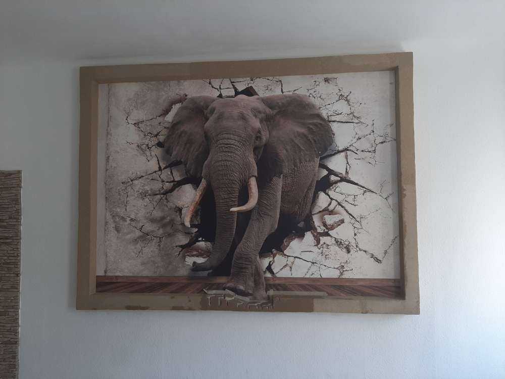 Big elephant out of the wall