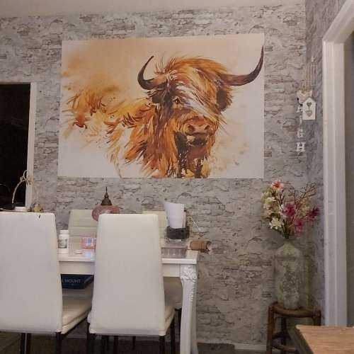 Painted Highlander