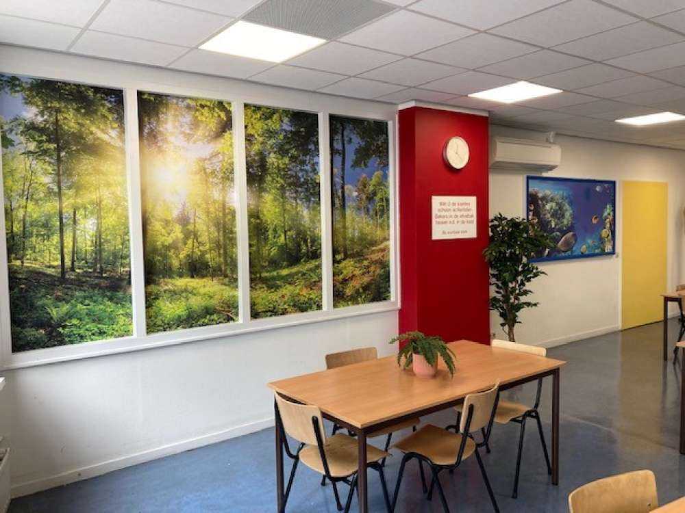 Forest with sunbeams