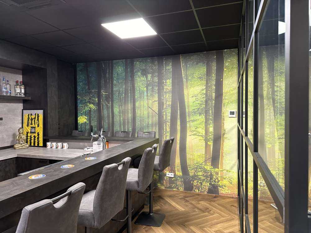 Morning sun among the trees