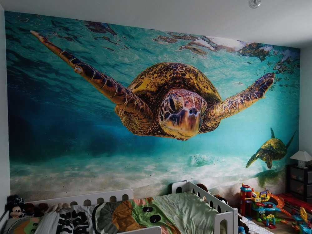 Sea turtle in the ocean