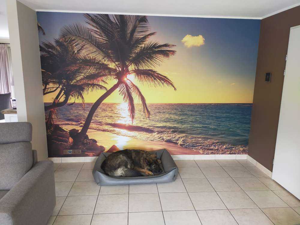 Tropical beach