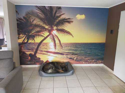 Tropical beach